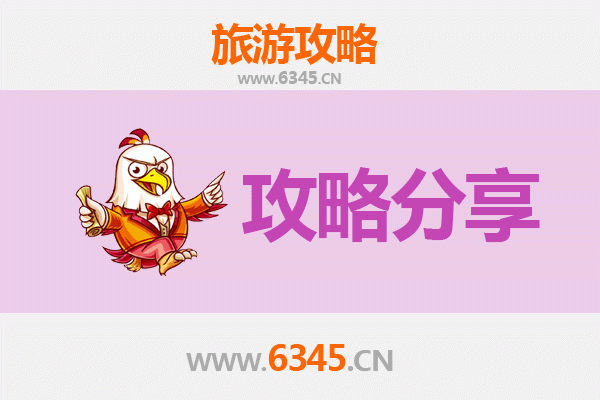益阳赫山旅游攻略：跟团与自由行深度对比